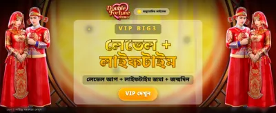 সেরা ডাবল ফরচুন গেম